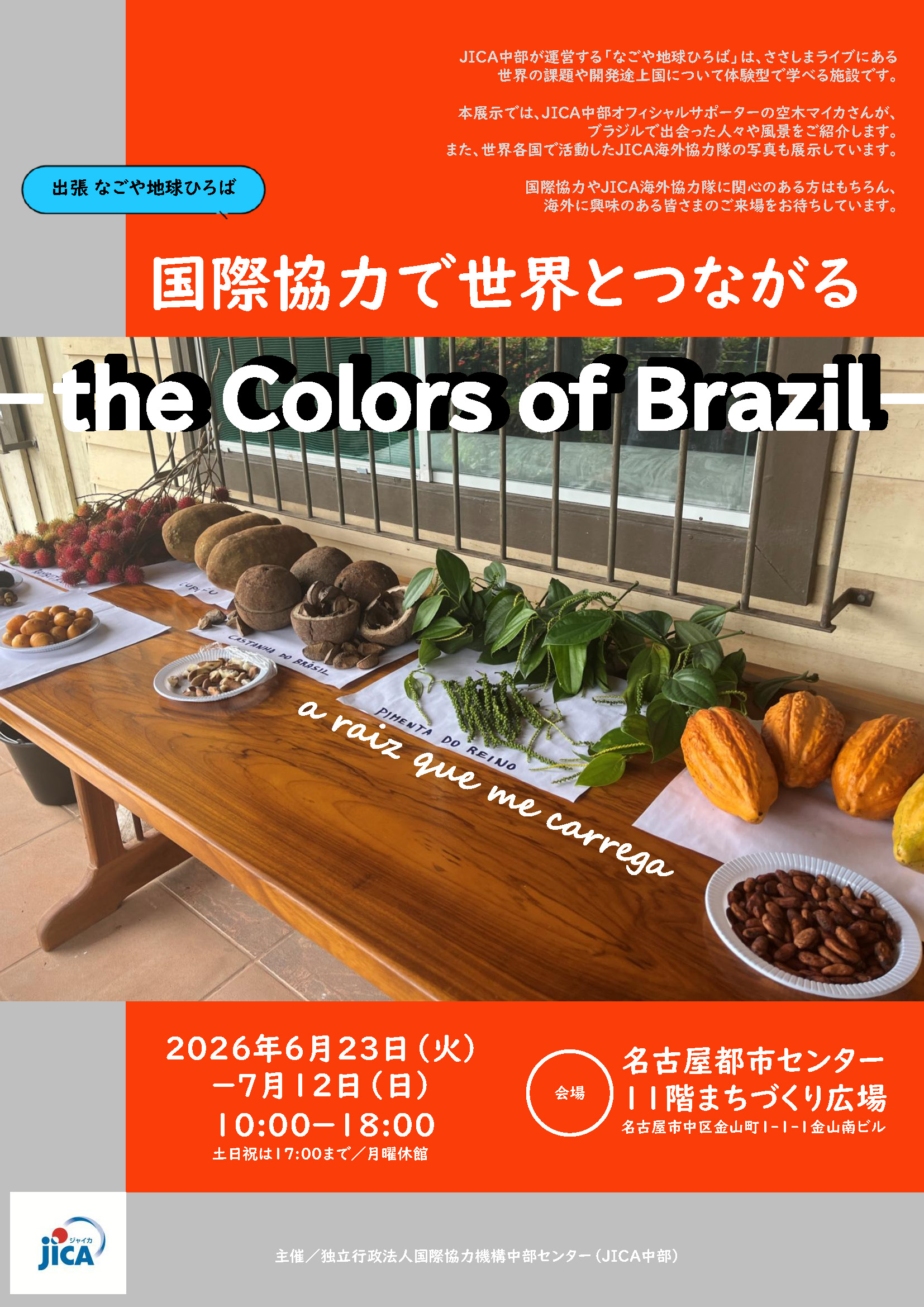 国際協力で世界とつながる-the Colors of Brazil-　